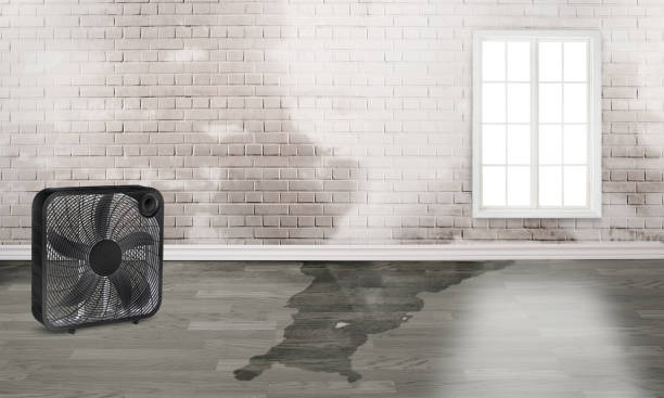 Best Local water damage restoration  in Vinings, GA