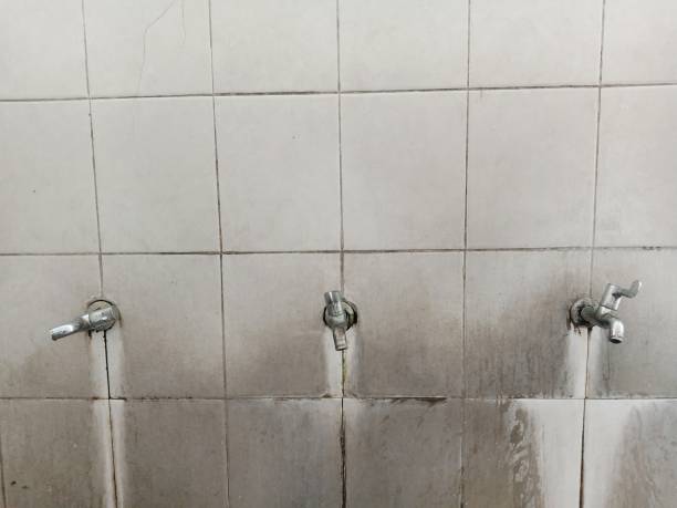 Best Water damage cleanup near me  in Vinings, GA