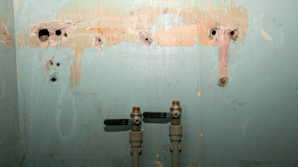 Best Water damage cleanup near me  in Vinings, GA