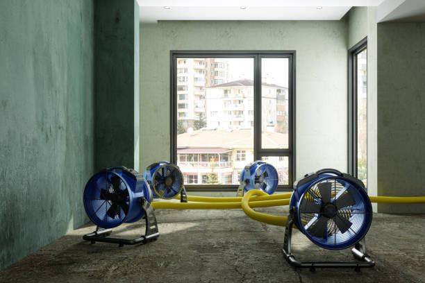 Best Sewage cleanup and water damage restoration  in Vinings, GA