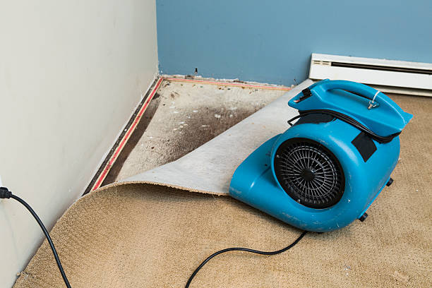 Best Water damage restoration near me  in Vinings, GA